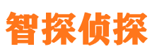 枣阳外遇出轨调查取证